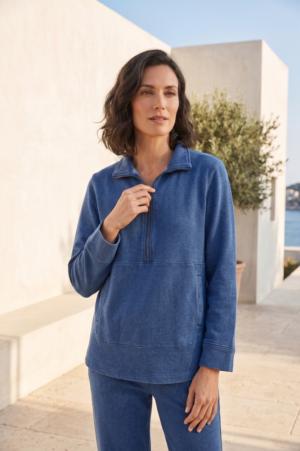 #D71 Bracelet Sleeve Half-Zip Pullover | Wild Palms Collection